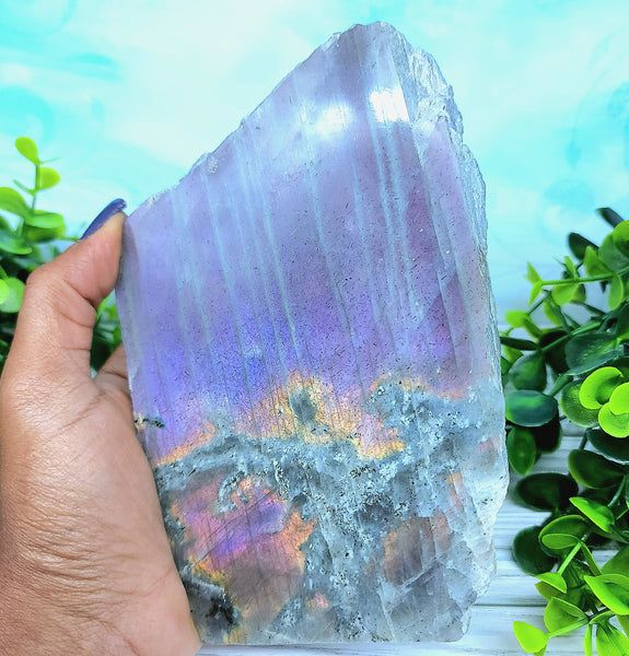 XXL Purple Labradorite Display Slab