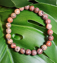 Leopardskin Jasper Bracelet