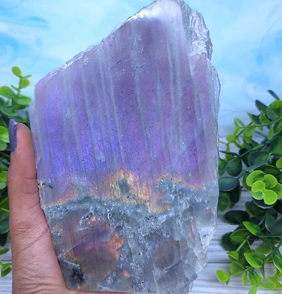 XXL Purple Labradorite Display Slab