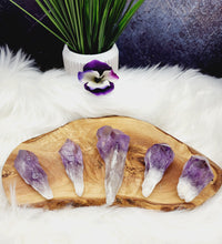 Elestial Bahia Amethyst Root Wands