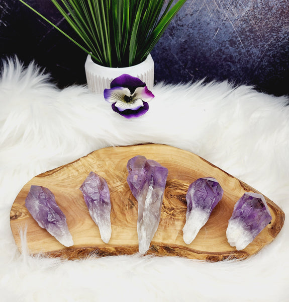 Elestial Bahia Amethyst Root Wands