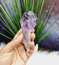 Elestial Bahia Amethyst Root Wands