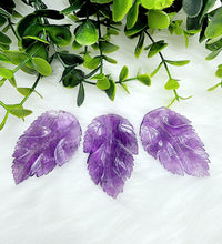 Chevron Amethyst Monstera Leaf