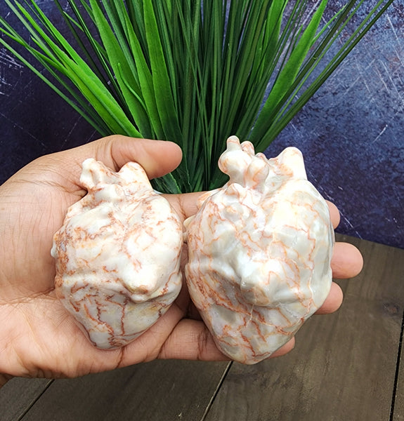 Red Vein Jasper Anatomical Heart Carvings