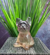 Fluorite Boston Terrier Carvings