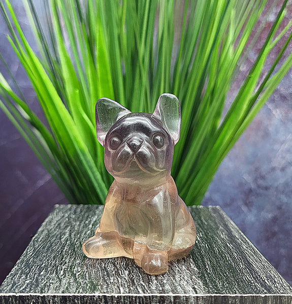 Fluorite Boston Terrier Carvings